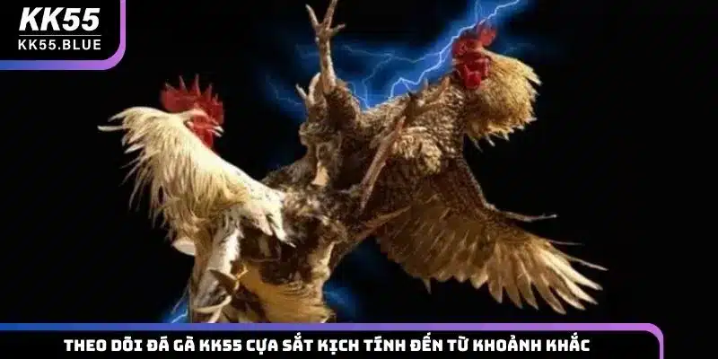 Theo dõi đá gà KK55 cựa sắt kịch tính đến từ khoảnh khắc