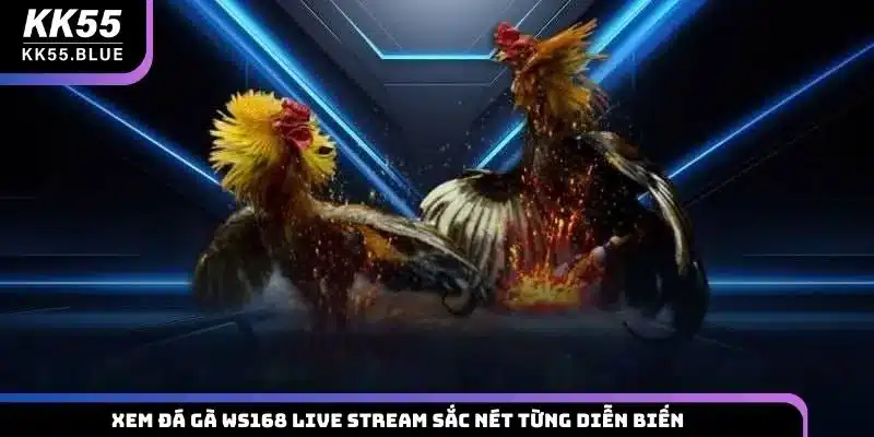 Xem đá gà WS168 live stream sắc nét từng diễn biến