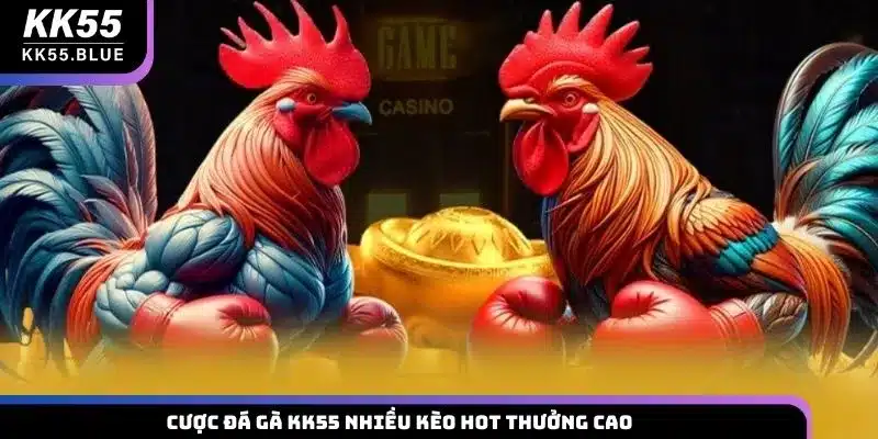 Cược đá gà KK55 nhiều kèo hot thưởng cao